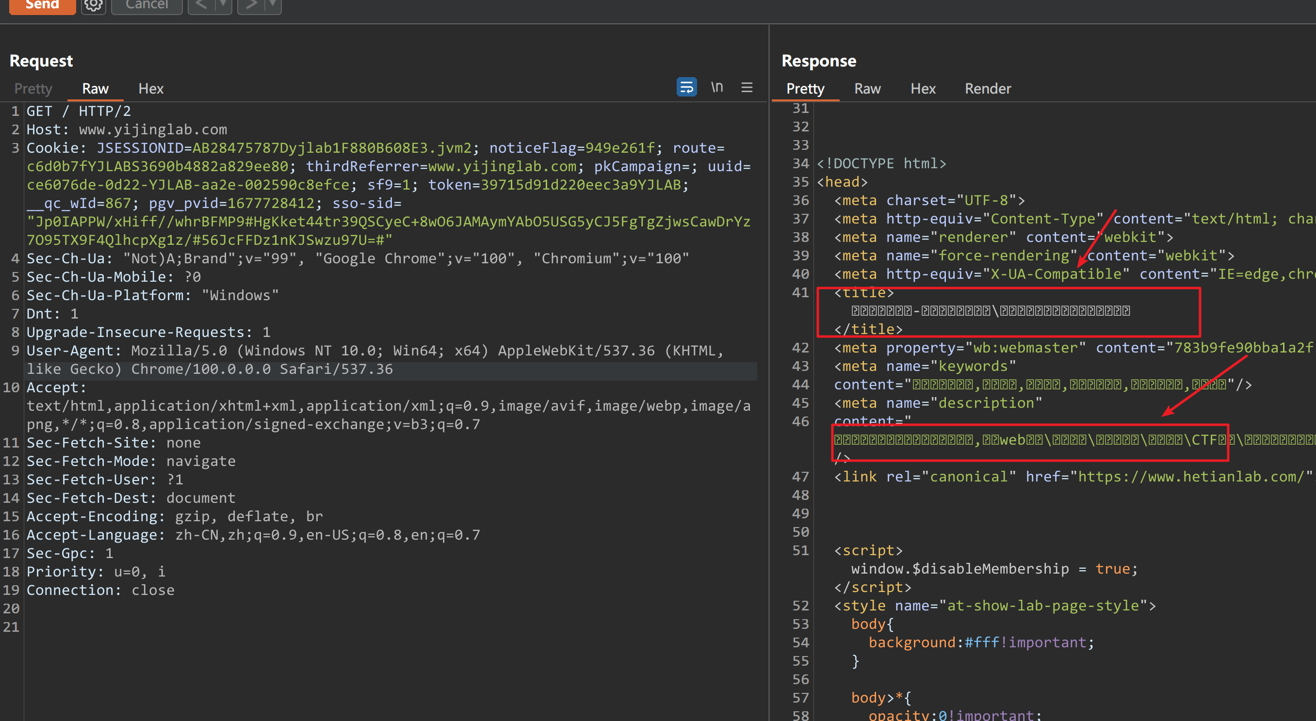 Burp Suite显示HTTP消息中的中文字符设置(附字体下载) - 蚁景网安学院